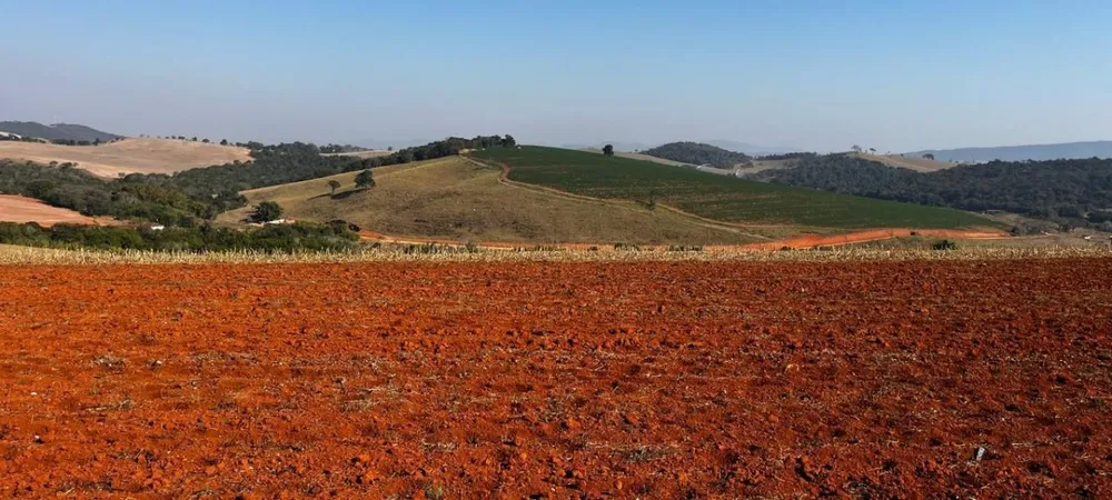Fazenda, 313 hectares - Foto 7