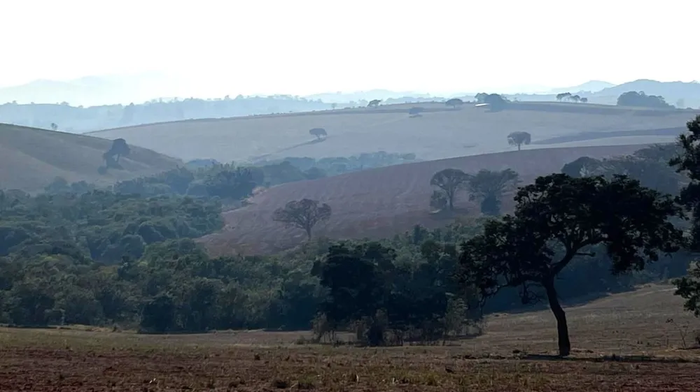 Fazenda, 313 hectares - Foto 13