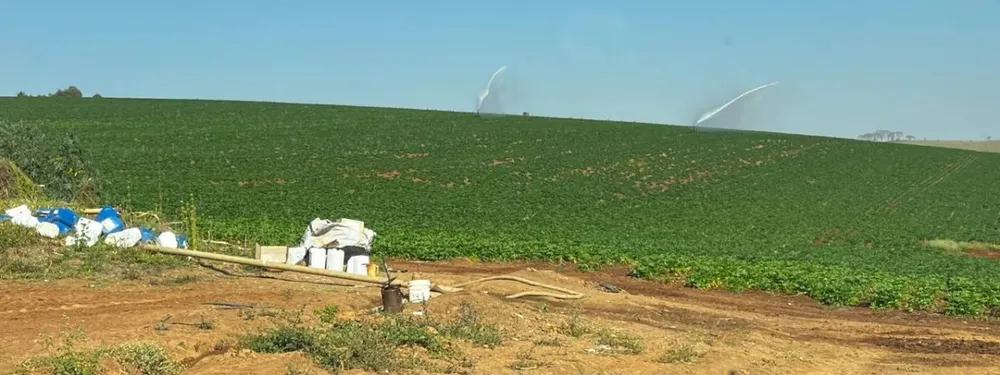 Fazenda, 313 hectares - Foto 16