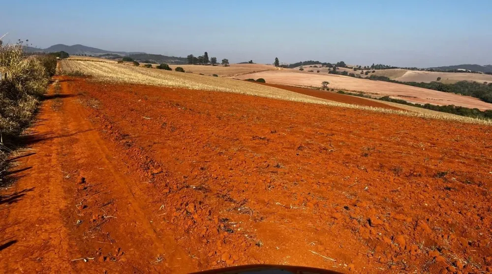 Fazenda, 313 hectares - Foto 4