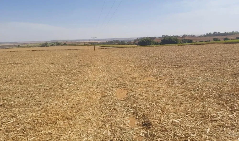 Fazenda, 313 hectares - Foto 11