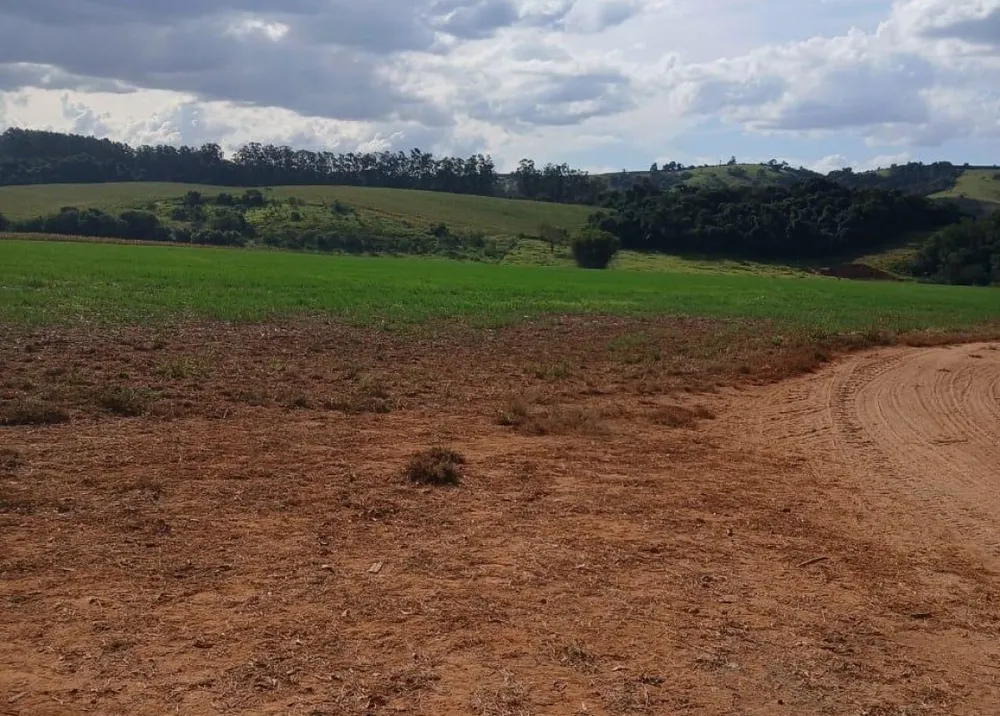 Fazenda, 313 hectares - Foto 19
