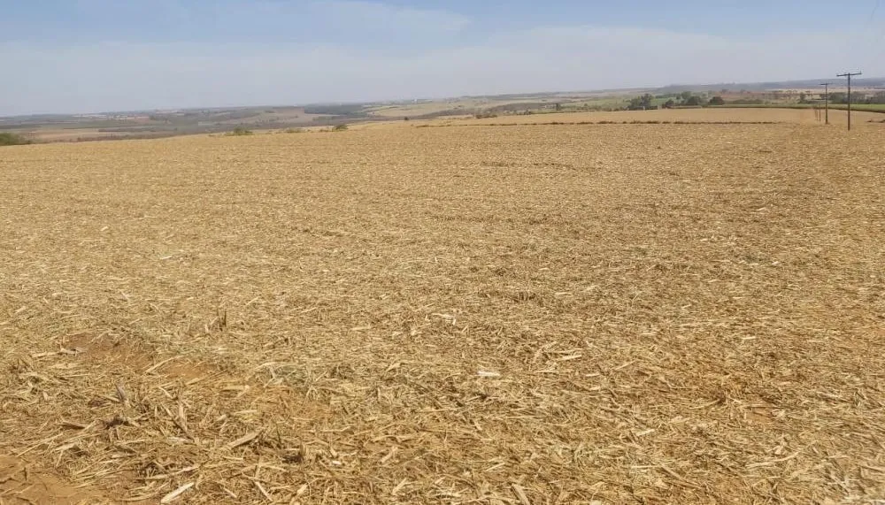 Fazenda, 313 hectares - Foto 13