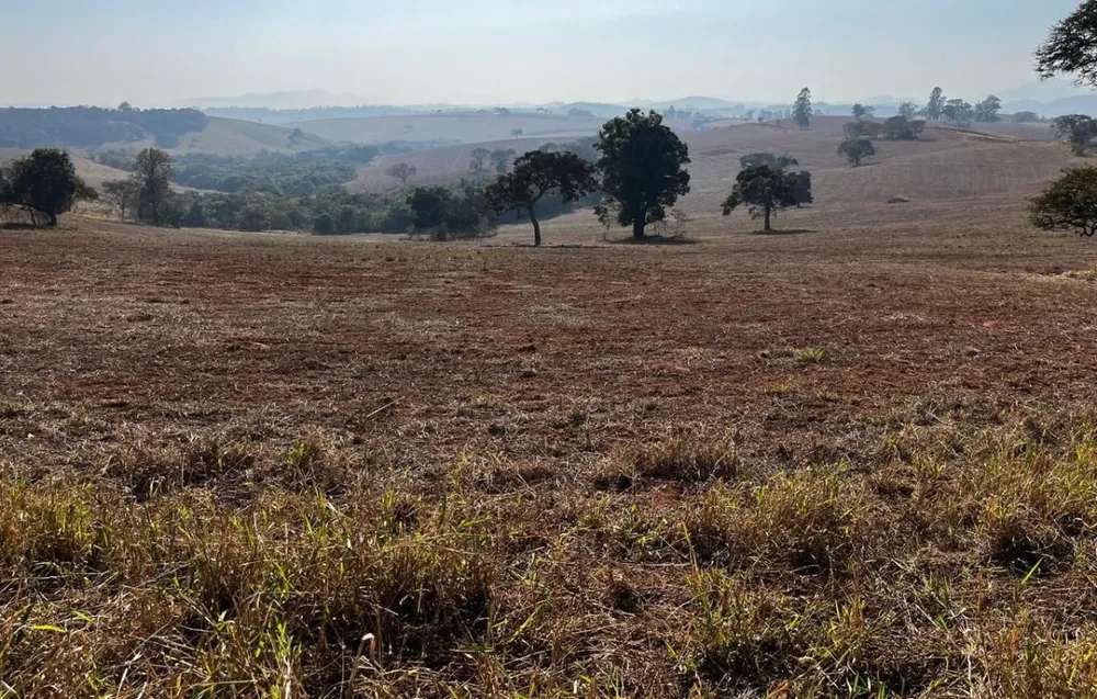 Fazenda, 313 hectares - Foto 9