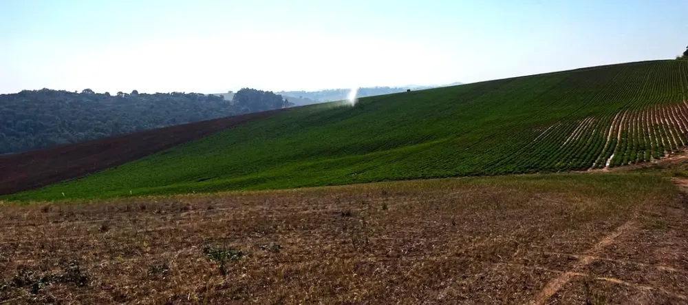 Fazenda, 313 hectares - Foto 25