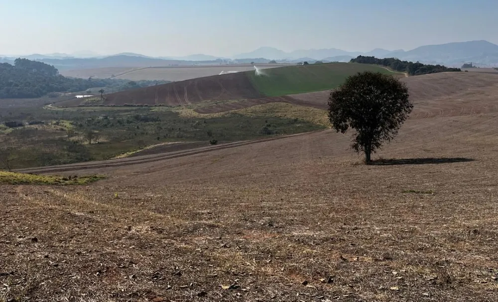 Fazenda, 313 hectares - Foto 15