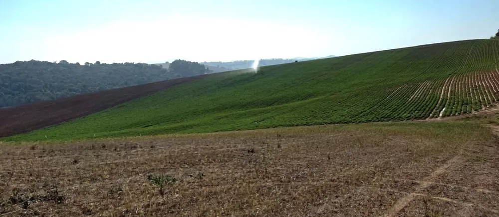 Fazenda, 313 hectares - Foto 2