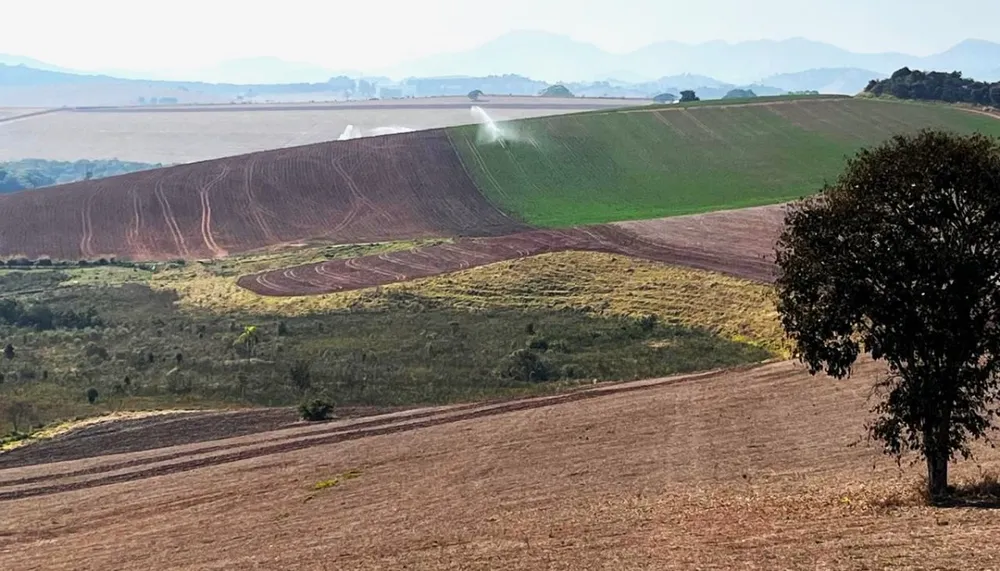 Fazenda, 313 hectares - Foto 15