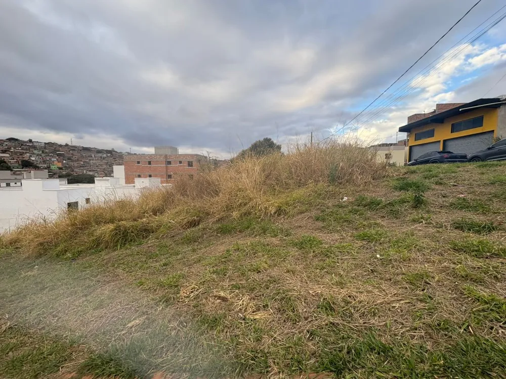 Terreno, 247 m² - Foto 3