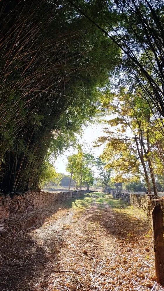Fazenda, 1 quarto - Foto 9