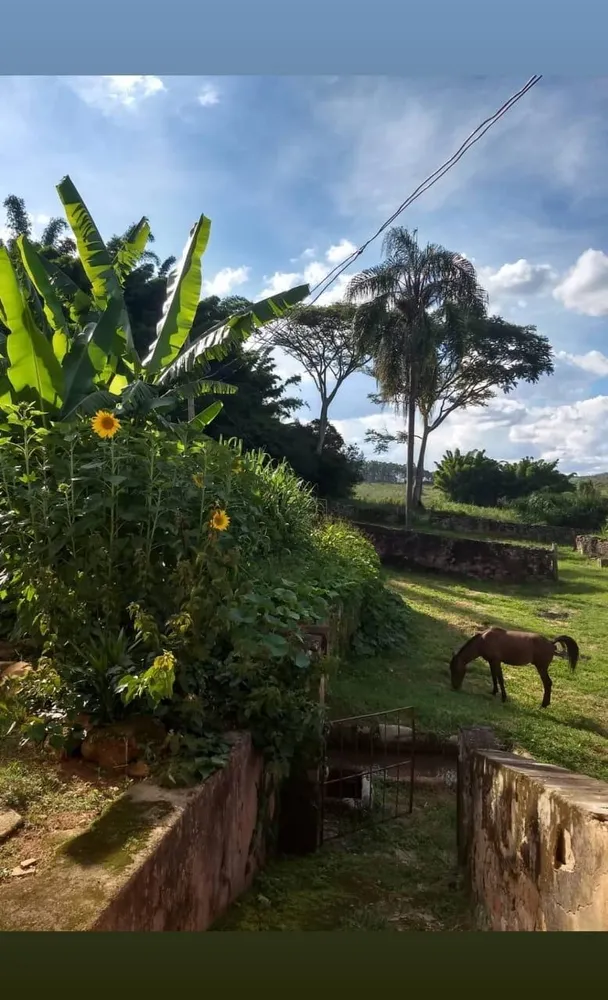 Fazenda, 1 quarto - Foto 7