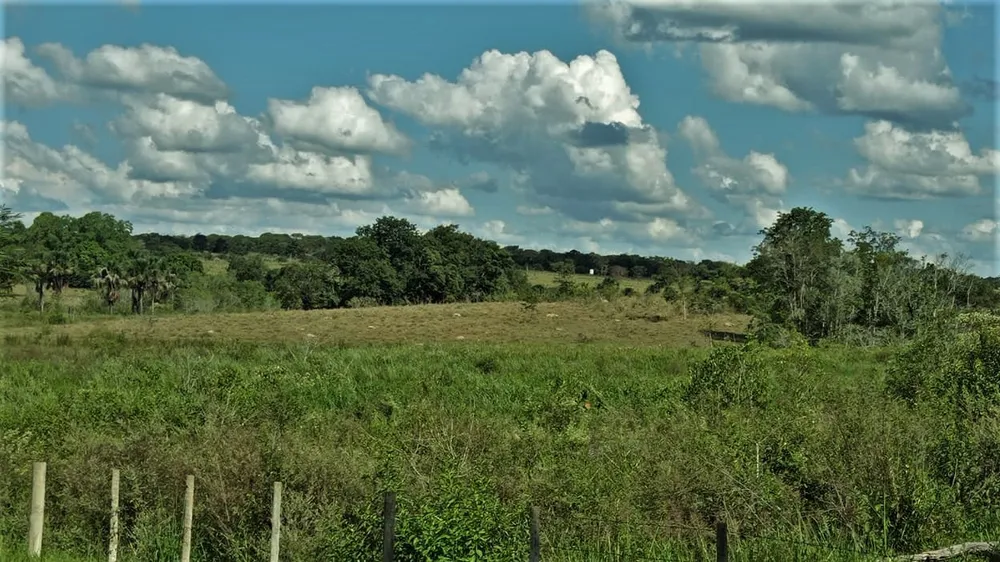 Fazenda, 206 hectares - Foto 4