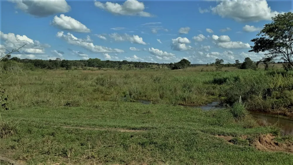 Fazenda, 206 hectares - Foto 2