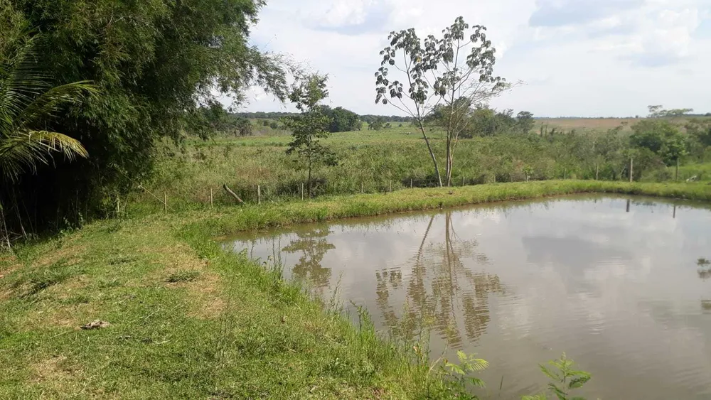Fazenda, 206 hectares - Foto 12