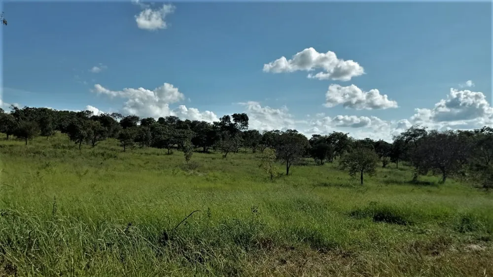 Fazenda, 206 hectares - Foto 3