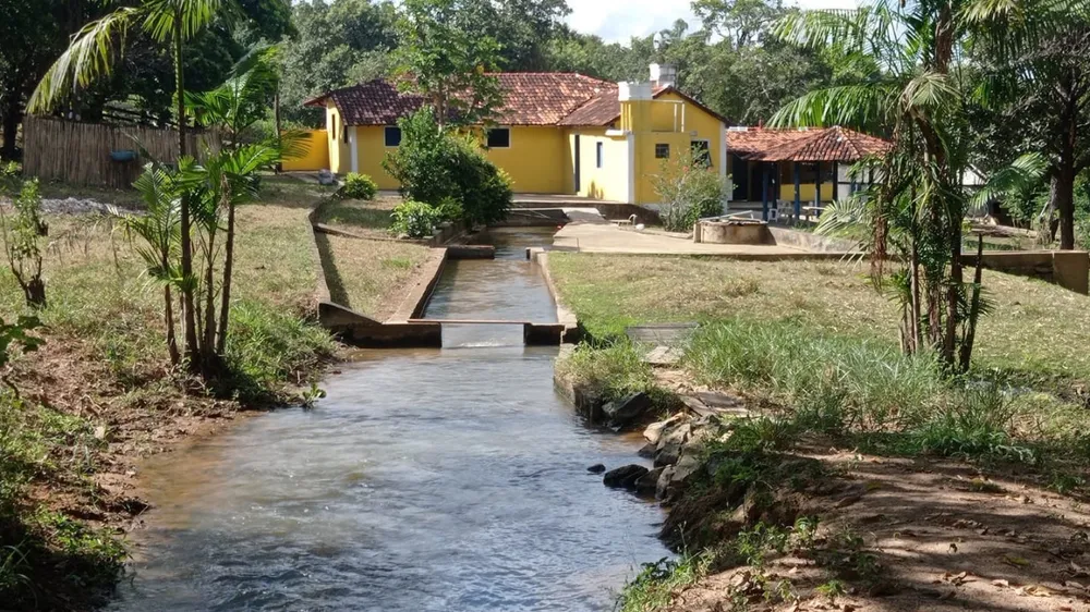 Fazenda, 206 hectares - Foto 9