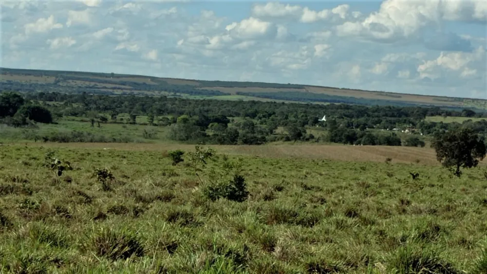 Fazenda, 206 hectares - Foto 1