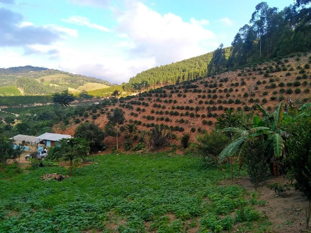 Terreno, 60000 m² - Foto 11
