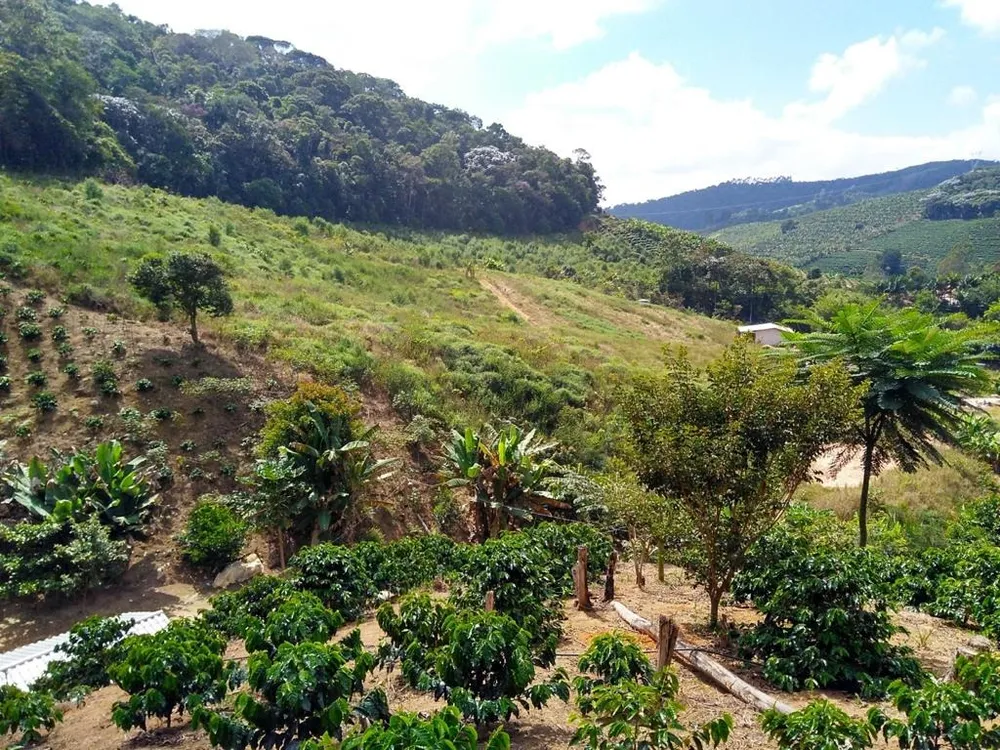 Terreno, 60000 m² - Foto 3