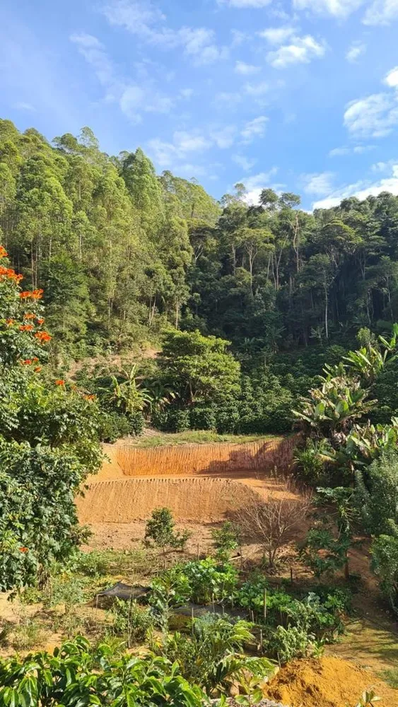 Terreno, 60000 m² - Foto 1