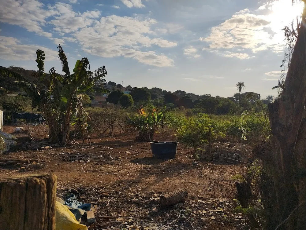 Terreno, 16000 m² - Foto 12