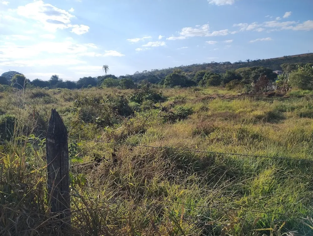 Terreno, 16000 m² - Foto 5