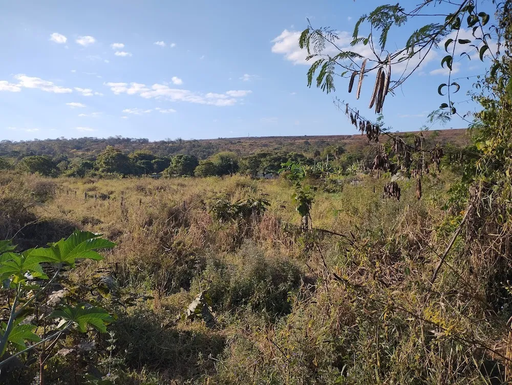 Terreno, 16000 m² - Foto 3