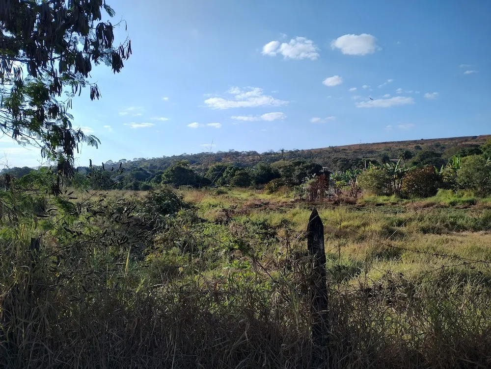 Terreno, 16000 m² - Foto 8