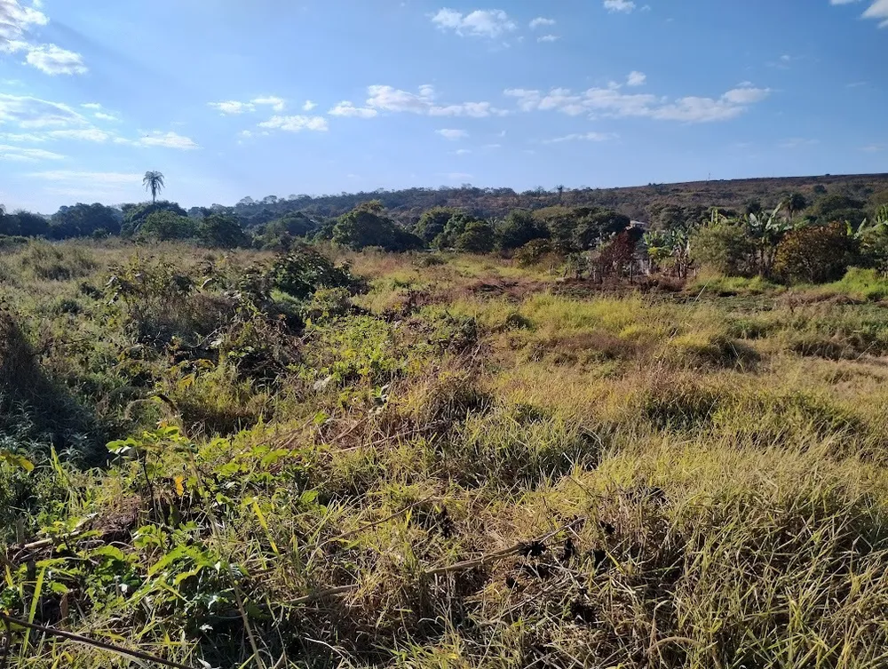 Terreno, 16000 m² - Foto 6