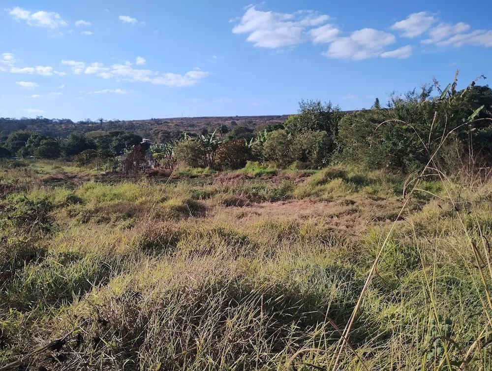 Terreno, 16000 m² - Foto 7