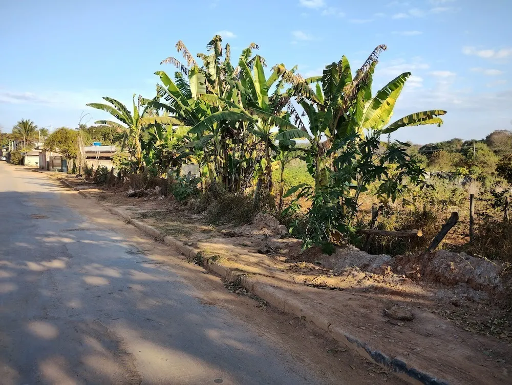 Terreno, 16000 m² - Foto 14