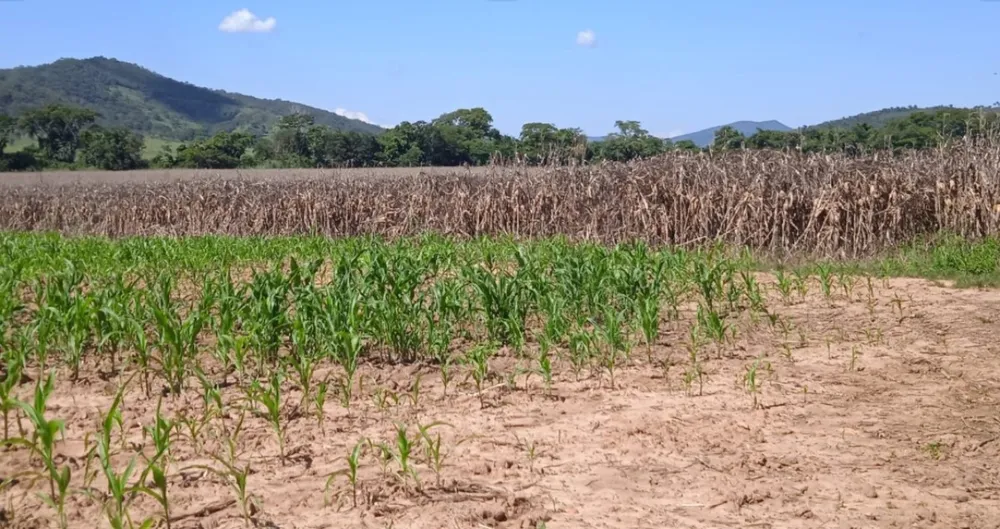 Fazenda, 200 hectares - Foto 1