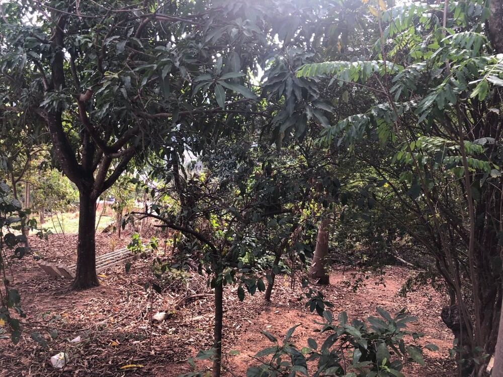 Terreno à venda - Foto 4