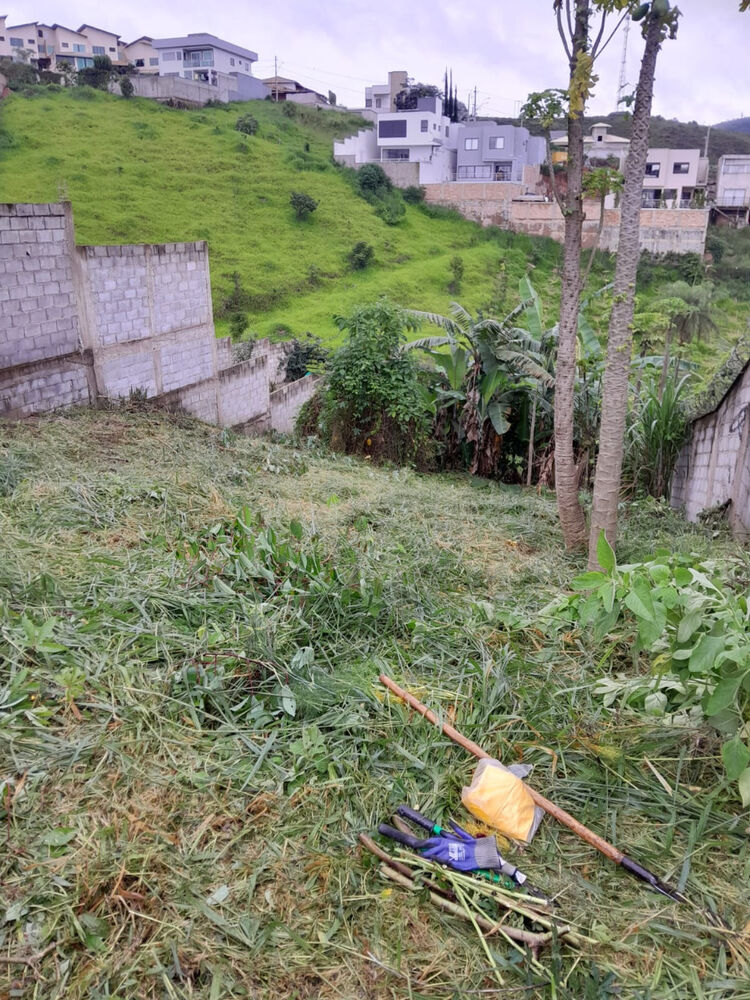 Terreno à venda - Foto 3