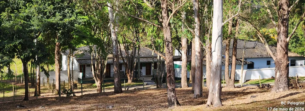 Fazenda, 945 hectares - Foto 11