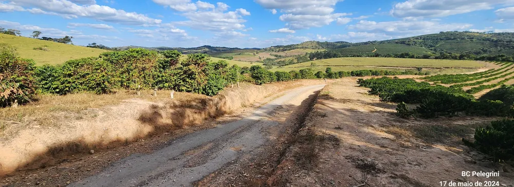 Fazenda, 945 hectares - Foto 4