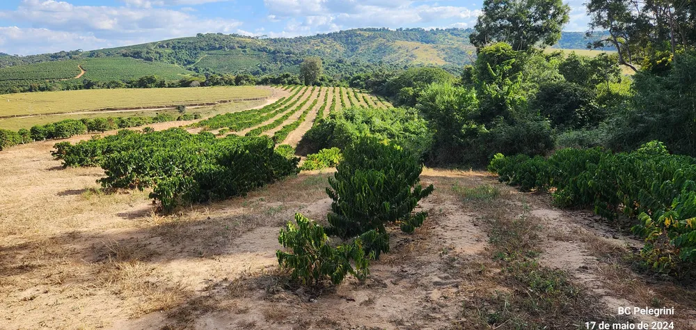 Fazenda, 945 hectares - Foto 6