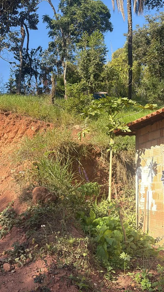 Chácara, 3 quartos - Foto 8