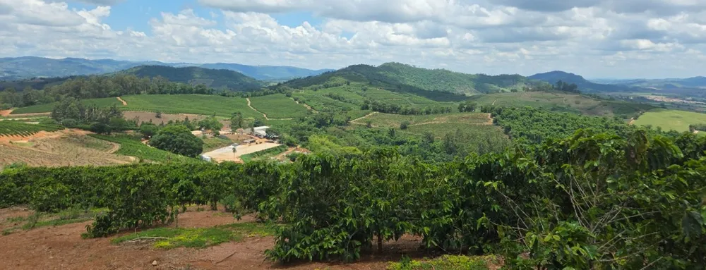 Fazenda, 208 hectares - Foto 16