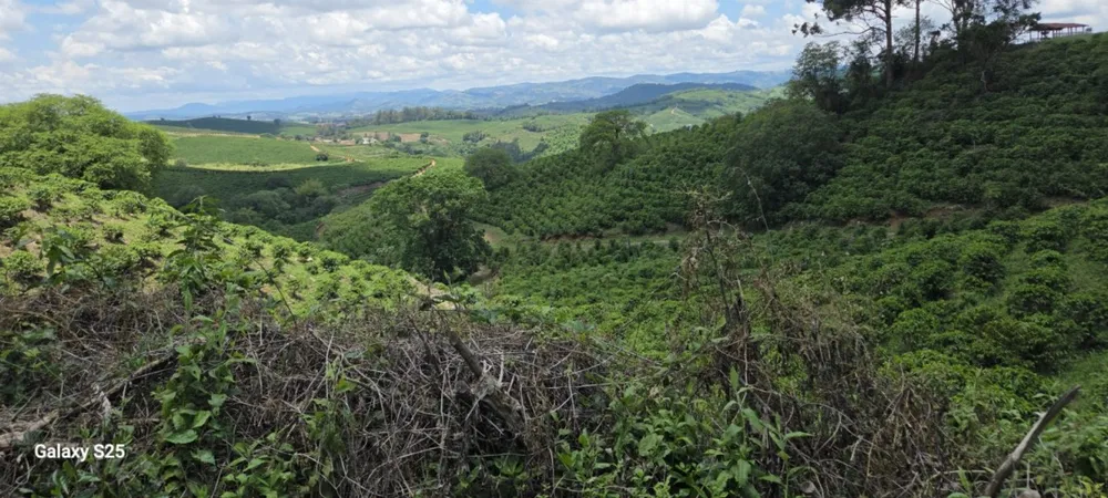 Fazenda, 208 hectares - Foto 11