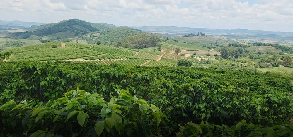Fazenda, 208 hectares - Foto 15