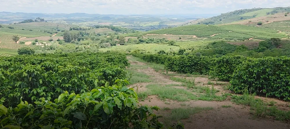 Fazenda, 208 hectares - Foto 21