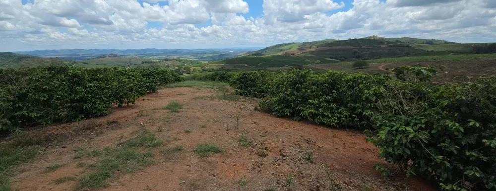 Fazenda, 208 hectares - Foto 19