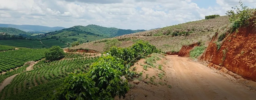 Fazenda, 208 hectares - Foto 7