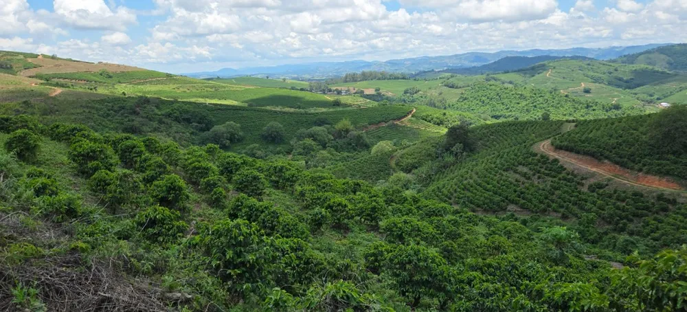 Fazenda, 208 hectares - Foto 13