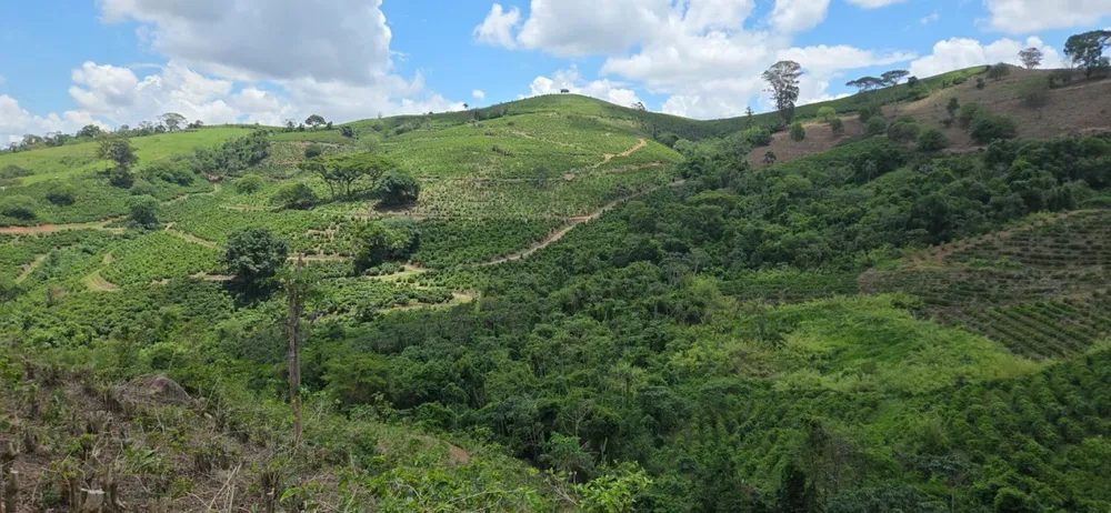 Fazenda, 208 hectares - Foto 8