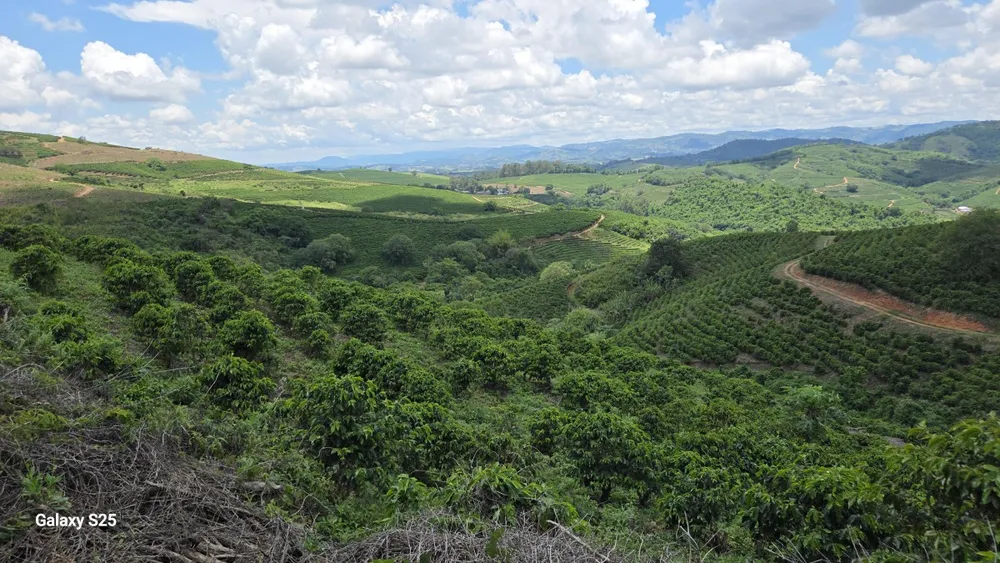 Fazenda, 208 hectares - Foto 13