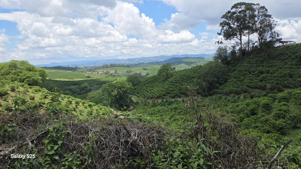 Fazenda, 208 hectares - Foto 22