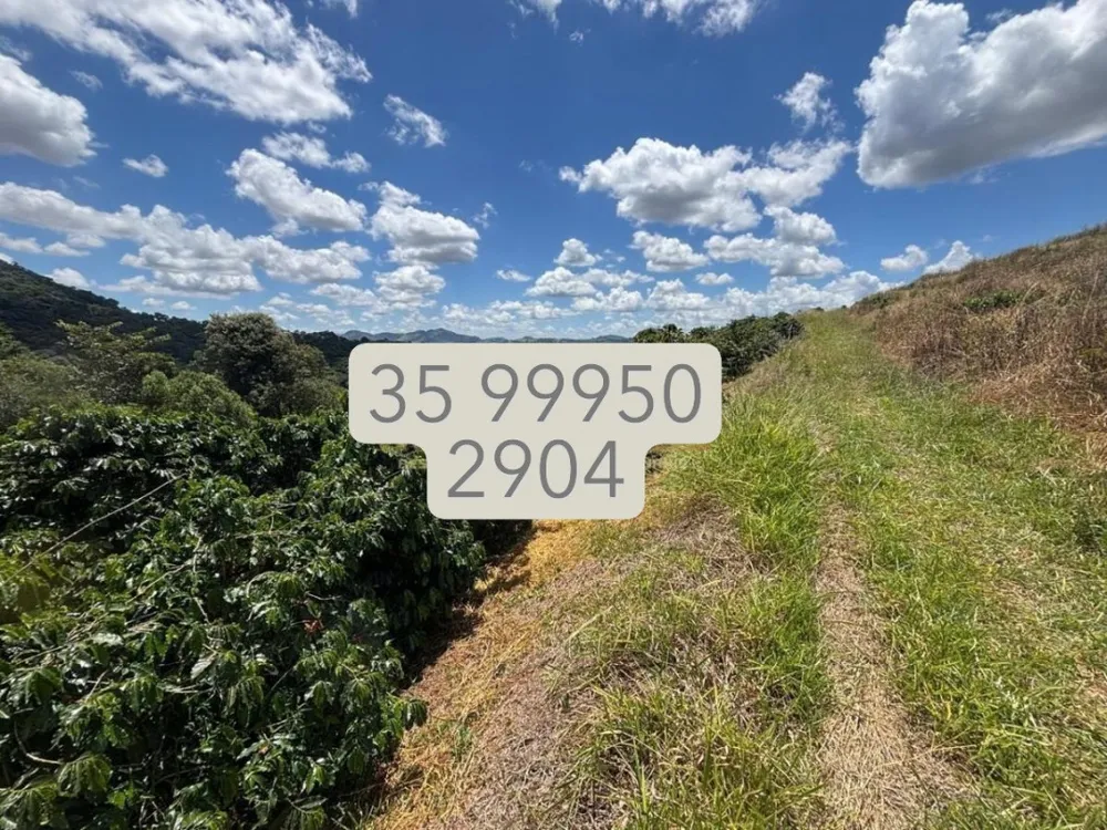 Fazenda, 51 hectares - Foto 4