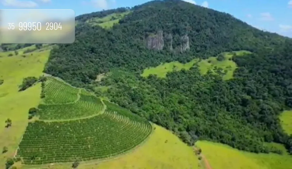 Fazenda, 51 hectares - Foto 1